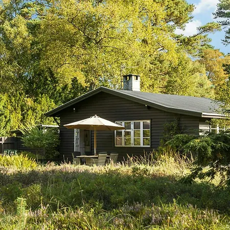 Feriehus Cozy And Bright Summer House In Asserbo Plantage